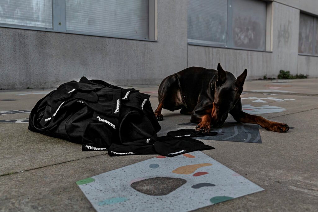 Photographe vidéaste à Vannes Nantes et Paris