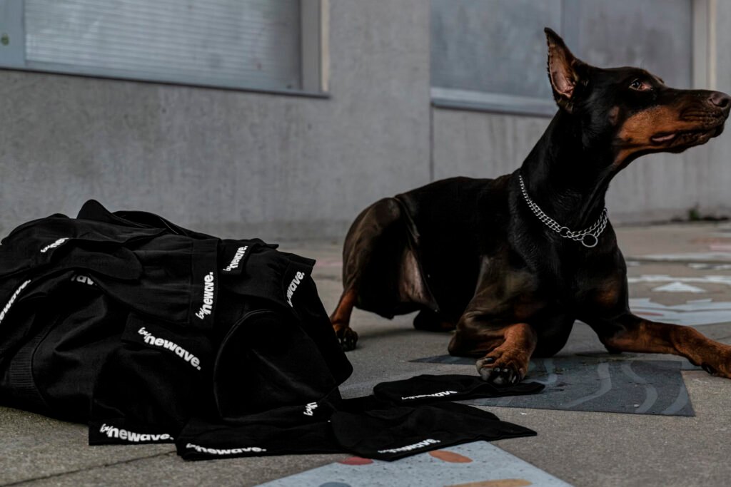 Photographe vidéaste à Vannes Nantes et Paris