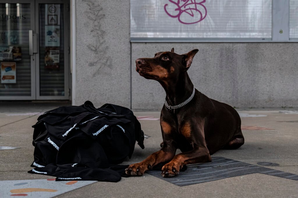 Photographe vidéaste à Vannes Nantes et Paris